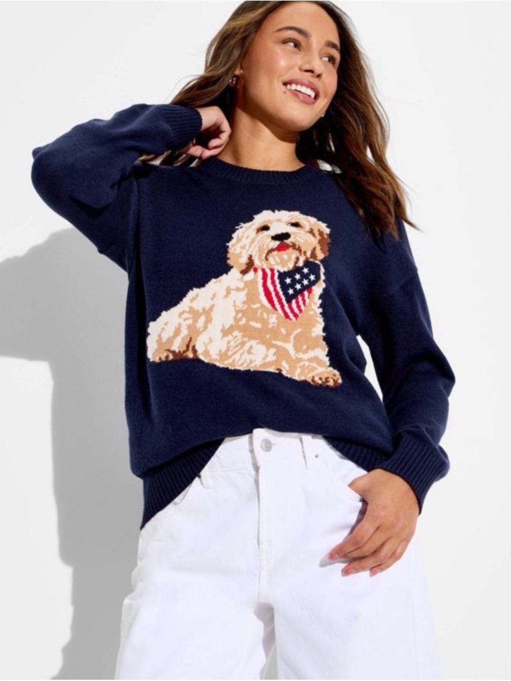 Target Navy Crewneck Sweater with Beige Dog Motif